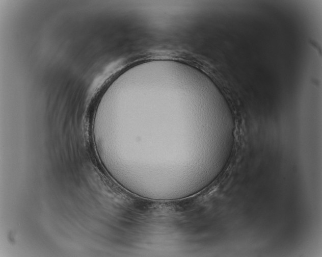 X0000103420343200809261712