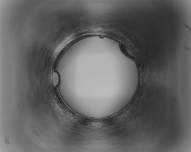 X0000103420344200809261712