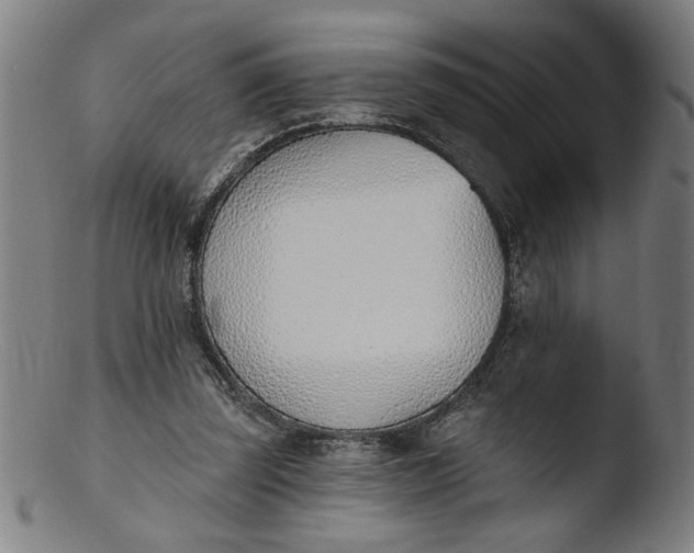 X0000103420347200809261712