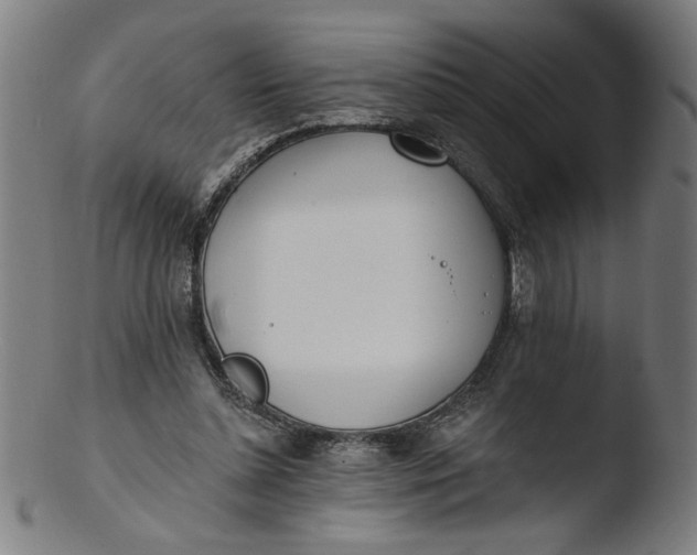 X0000103420348200809261712