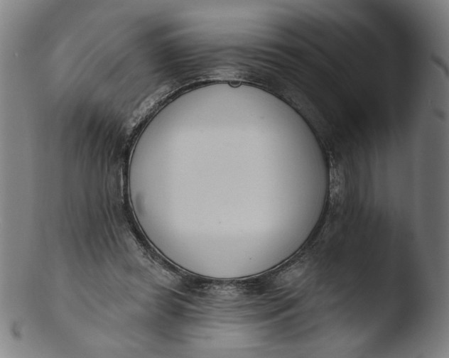 X0000103420349200809261712