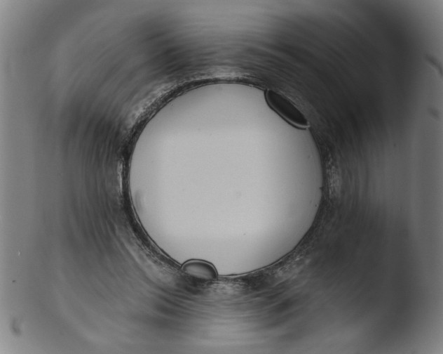 X0000103420350200809261712
