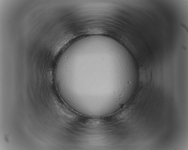 X0000103420351200809261712