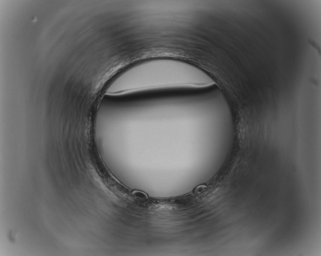 X0000103420352200809261712