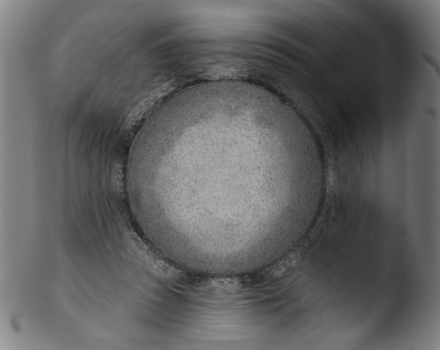 X0000103420353200809261712