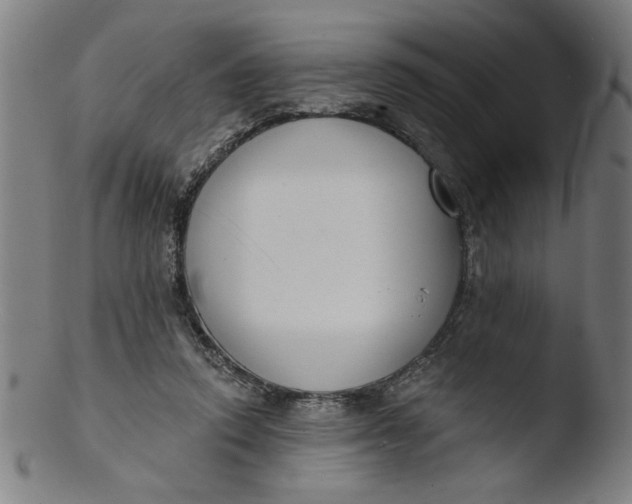 X0000103420354200809261712