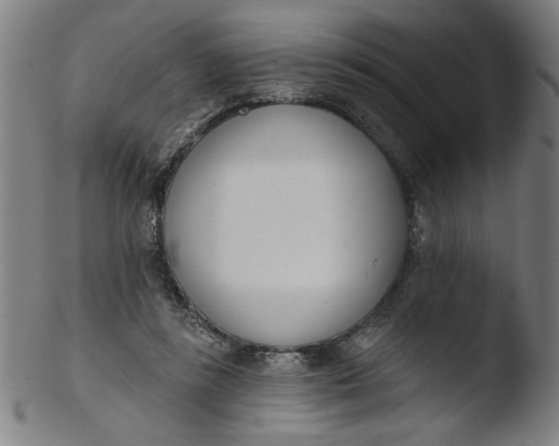 X0000103420355200809261713