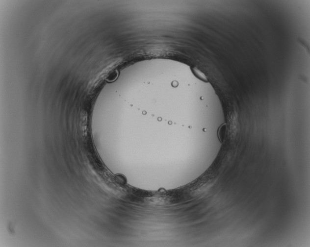 X0000103420356200809261713
