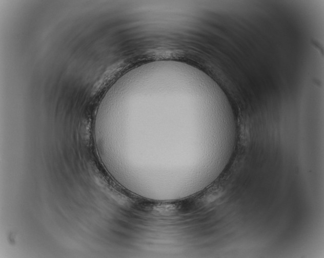 X0000103420357200809261713