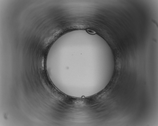 X0000103420358200809261713