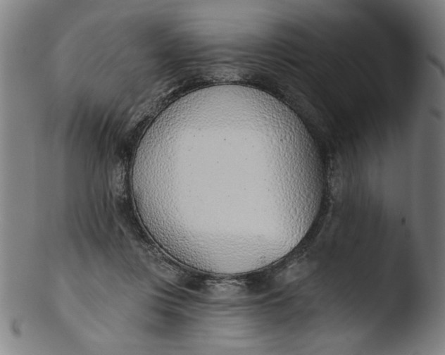 X0000103420359200809261713