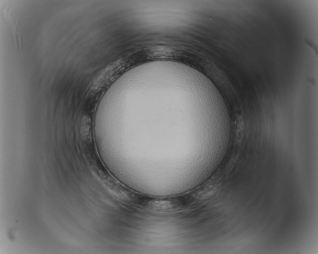 X0000103420361200809261713