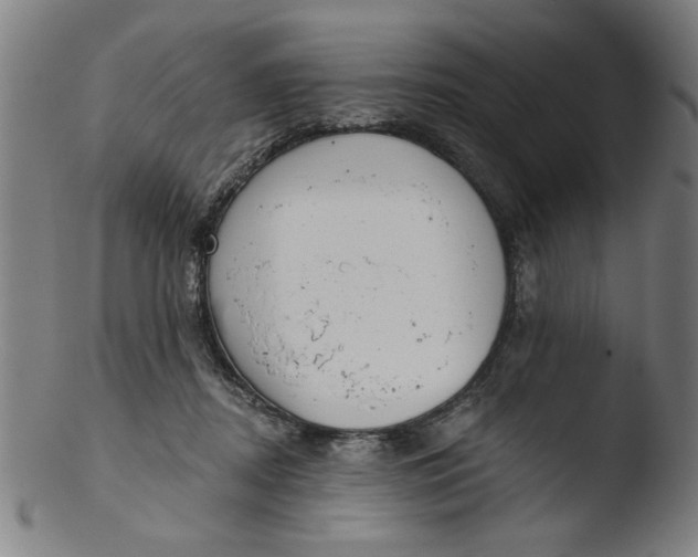 X0000103420362200809261713