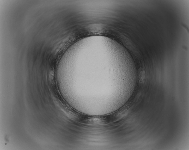X0000103420365200809261713
