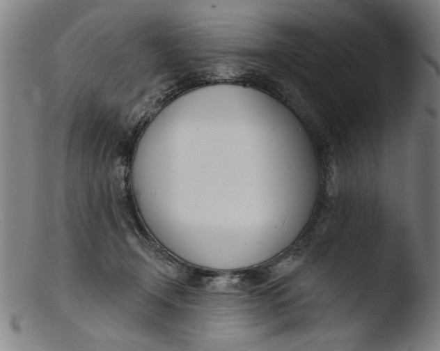 X0000103420366200809261713