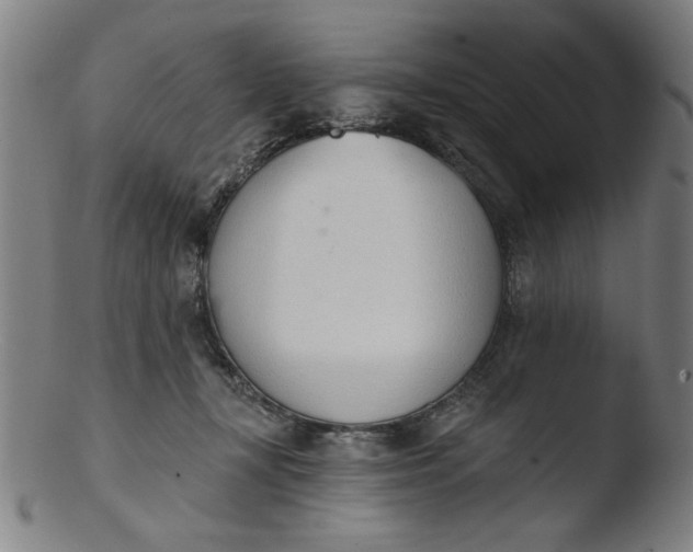 X0000103420367200809261713