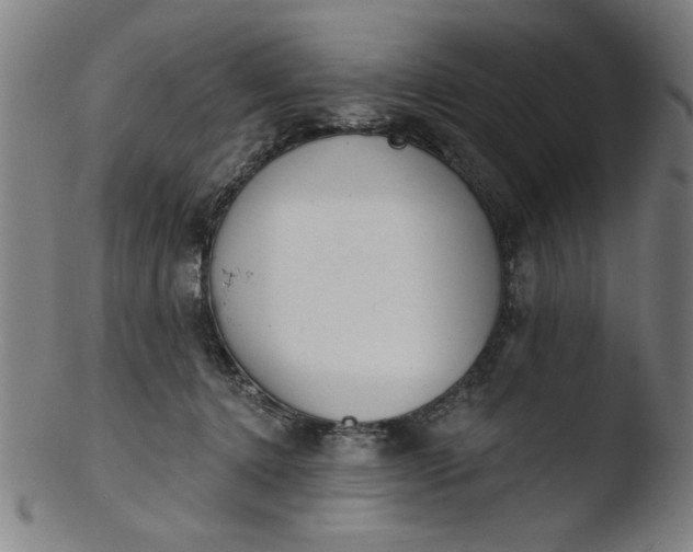 X0000103420368200809261713