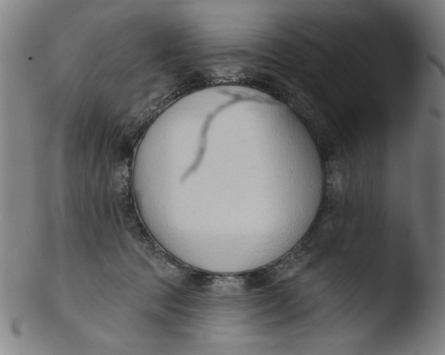 X0000103420369200809261713