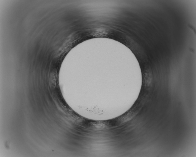 X0000103420370200809261713
