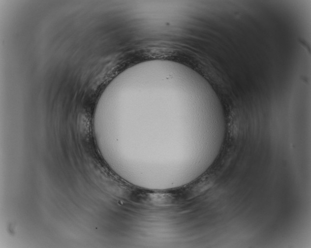 X0000103420371200809261713