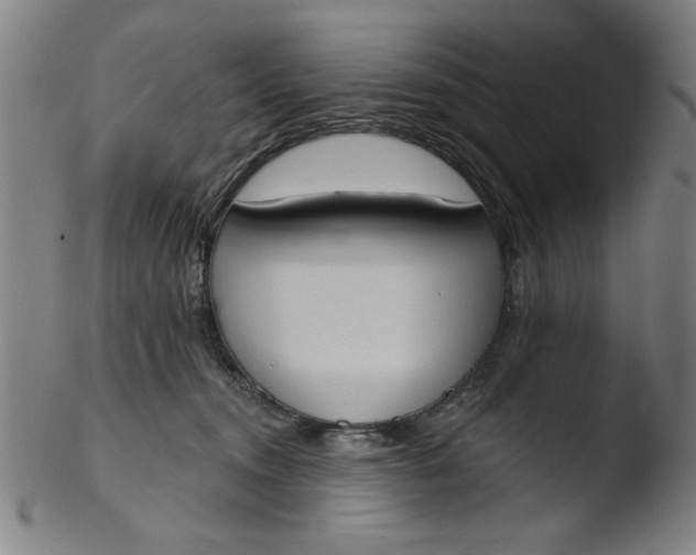 X0000103420372200809261713