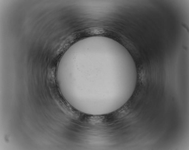 X0000103420373200809261713