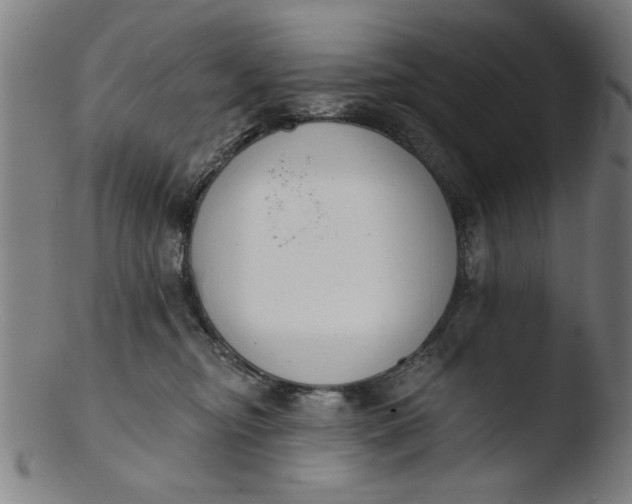 X0000103420374200809261713