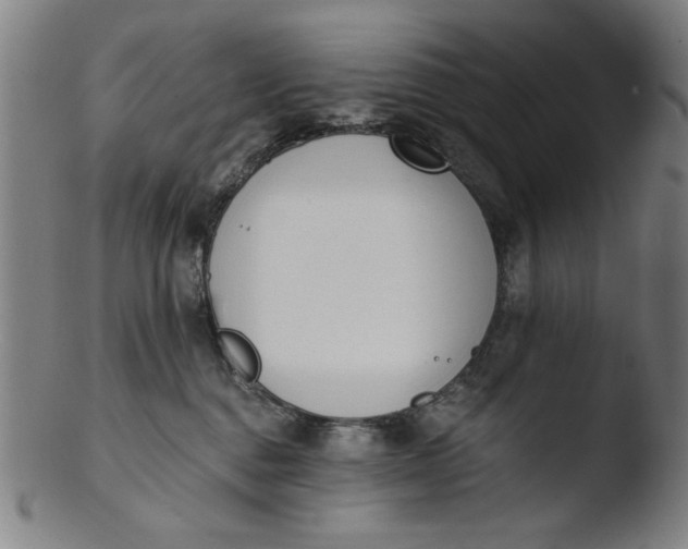 X0000103420376200809261713