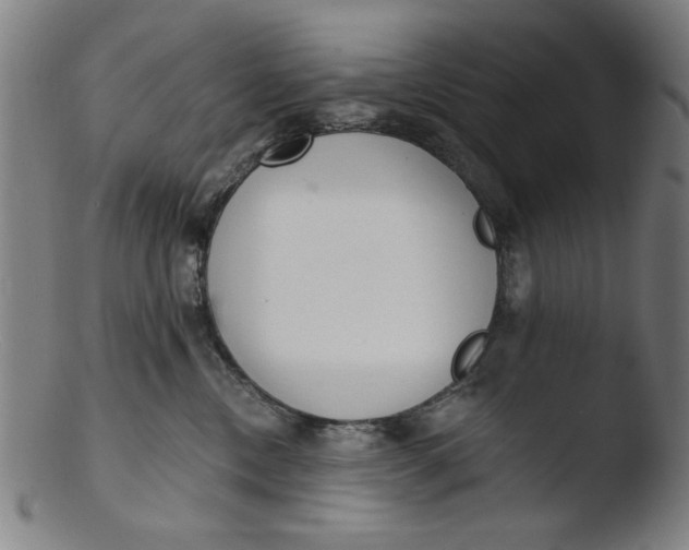 X0000103420378200809261713
