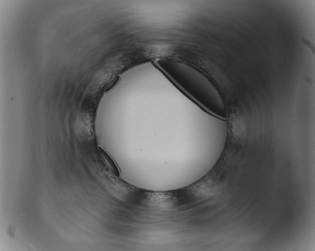 X0000103420380200809261713