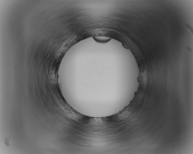 X0000103420381200809261713