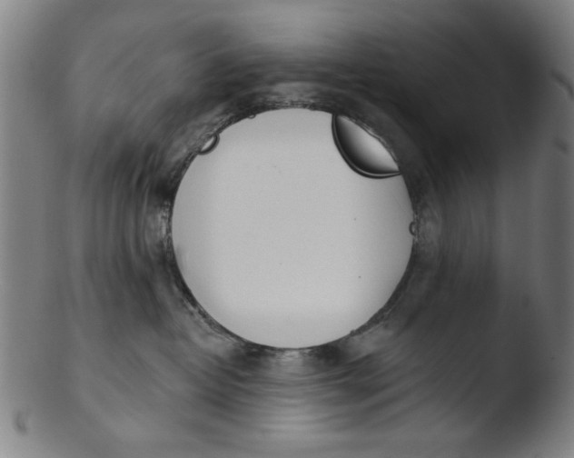 X0000103420382200809261713