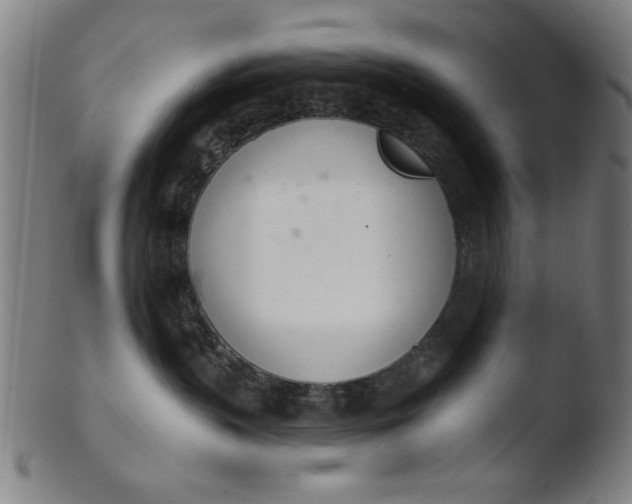 X0000103420383200809261713