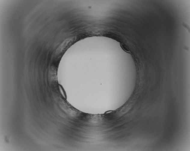 X0000103420384200809261713
