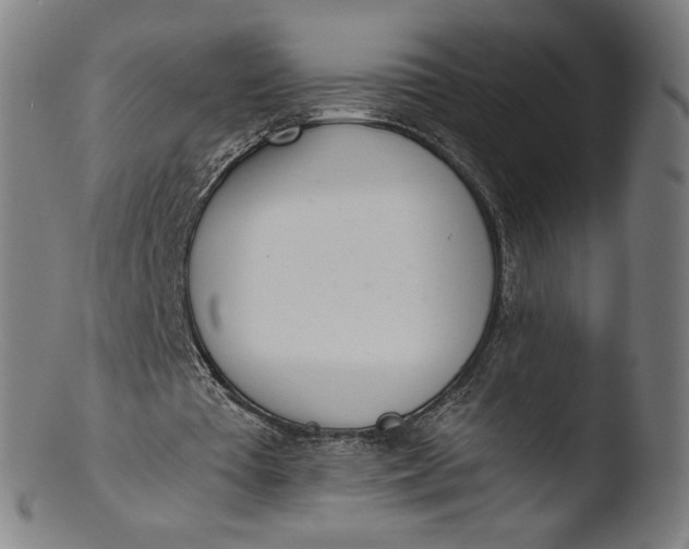X0000103420385200809261712