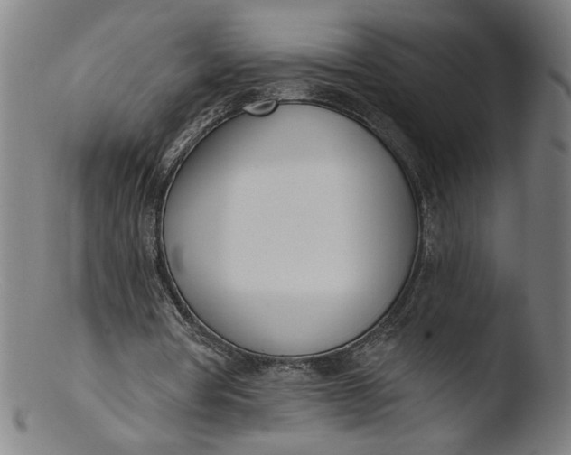 X0000103420386200809261712