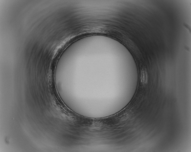 X0000103420388200809261712