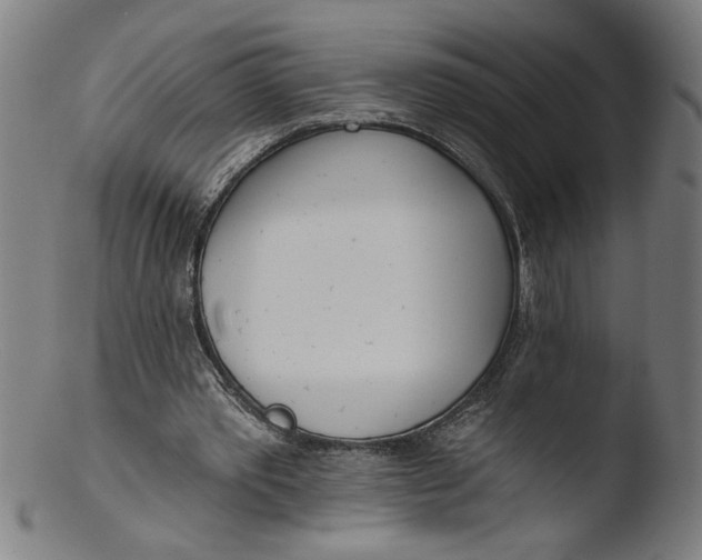 X0000103420389200809261712