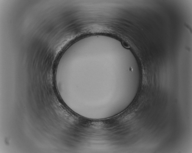 X0000103420391200809261712