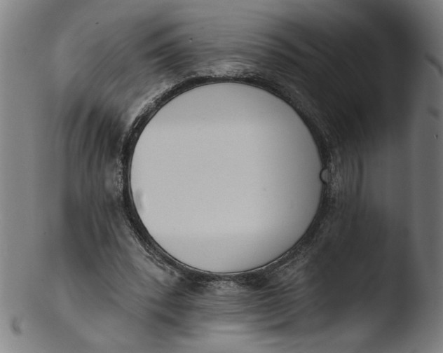 X0000103420392200809261712