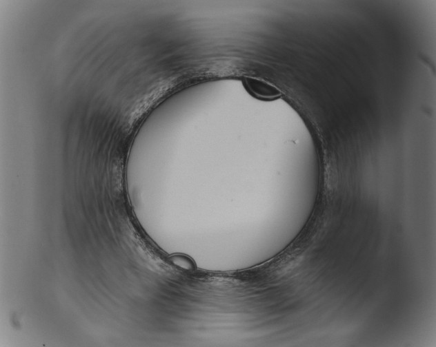 X0000103420393200809261712