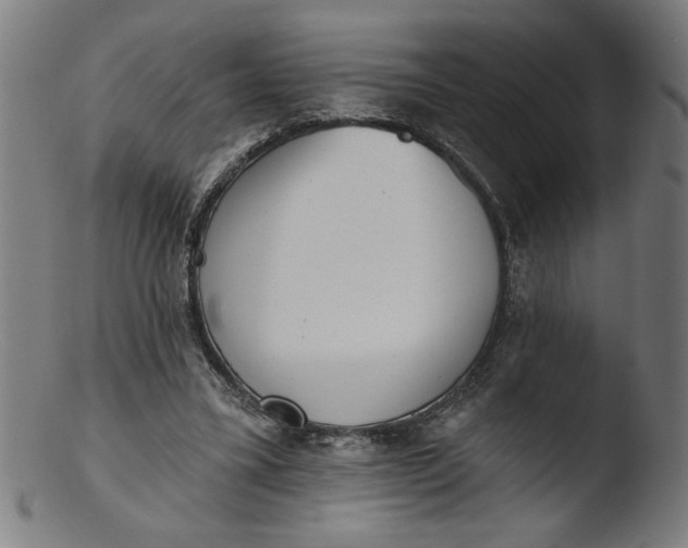 X0000103420395200809261712