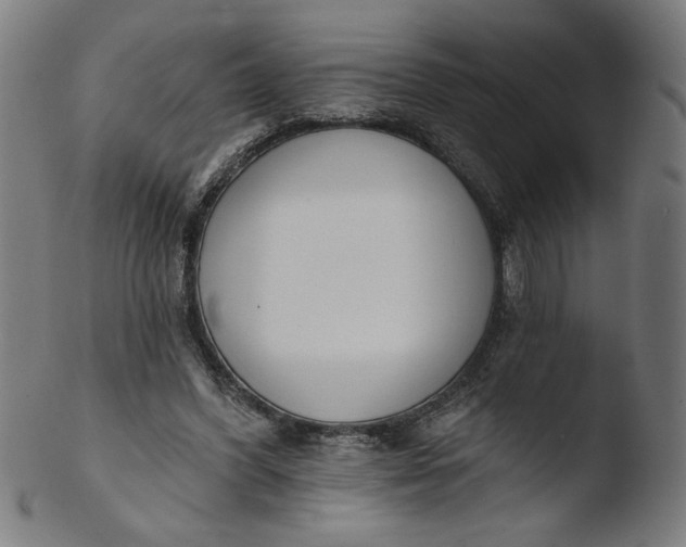 X0000103420396200809261712