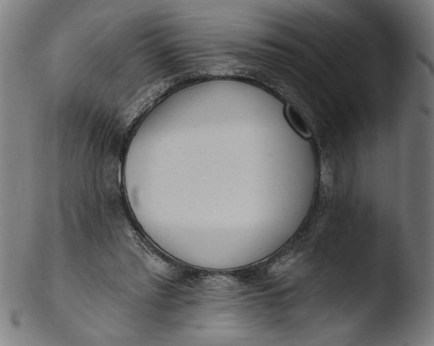 X0000103420397200809261712