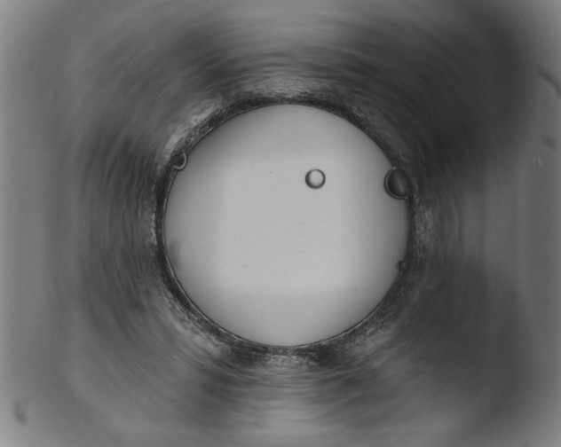 X0000103420399200809261712