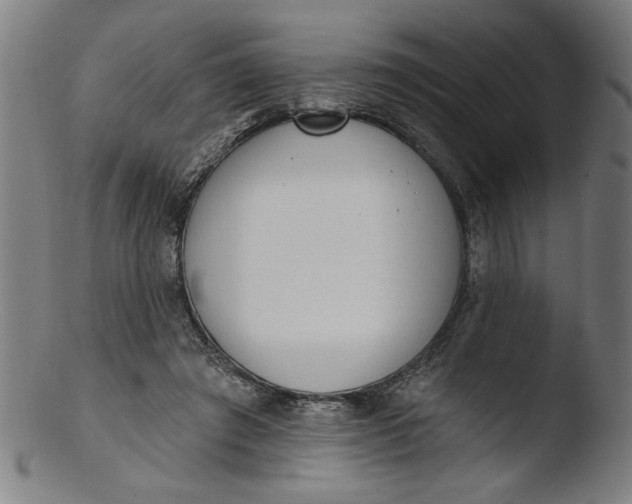 X0000103420401200809261712