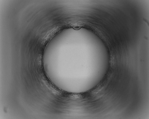 X0000103420402200809261712
