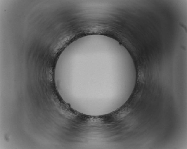 X0000103420403200809261712