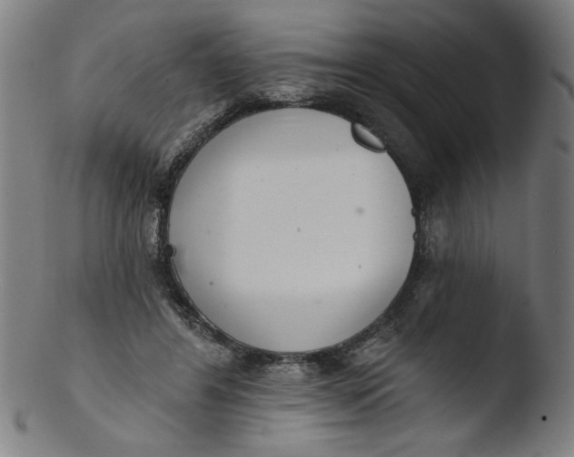 X0000103420404200809261712
