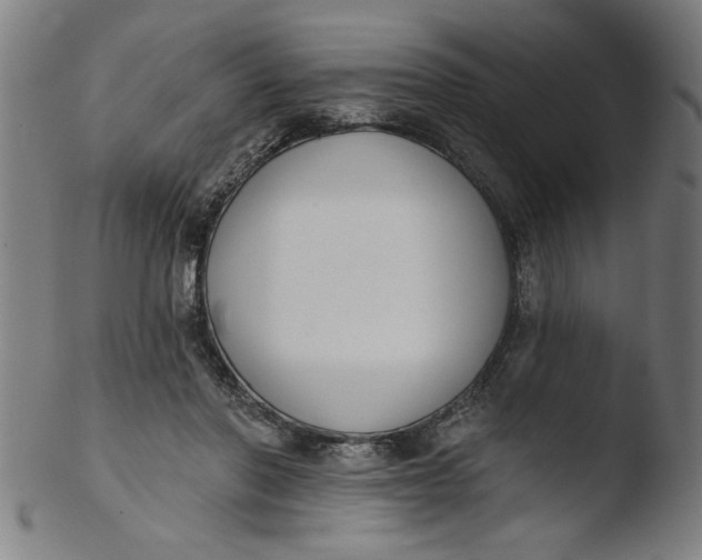 X0000103420406200809261712